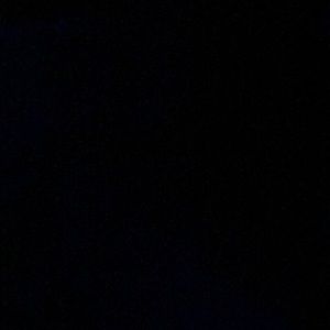 Meet your Posher, Lucy